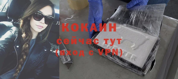 сатива Богданович