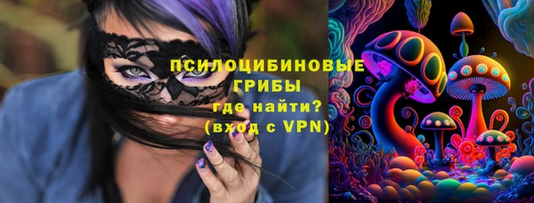 прущая мука Богородск